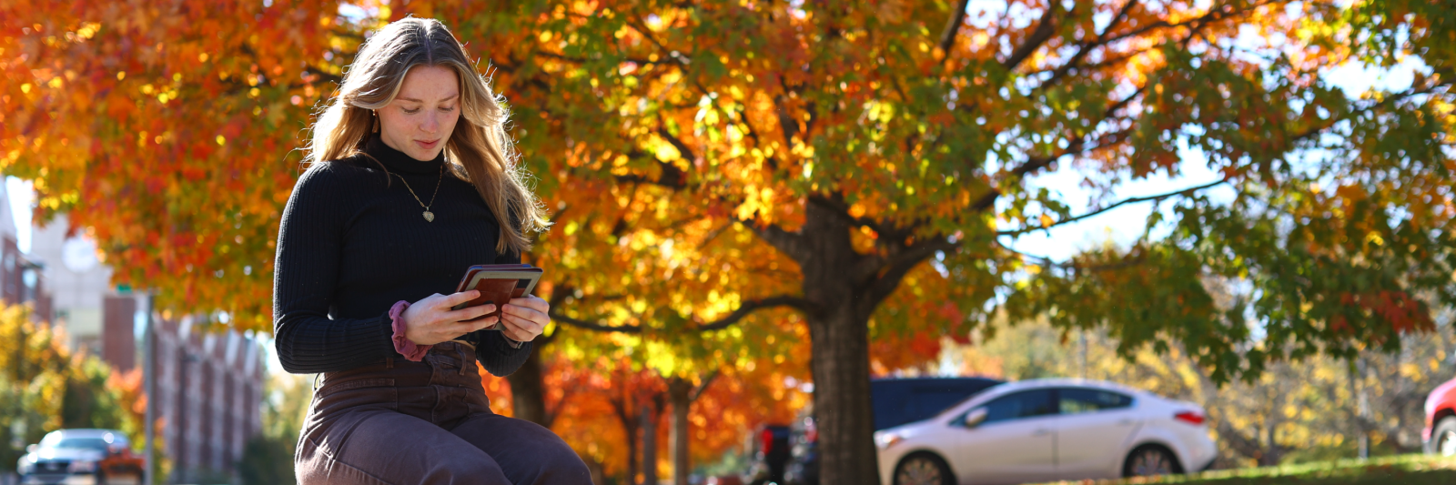 Fall semester UK