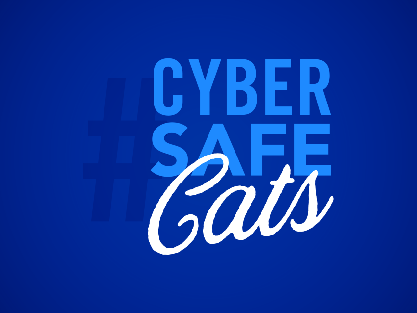 CYBER SAFE Cats